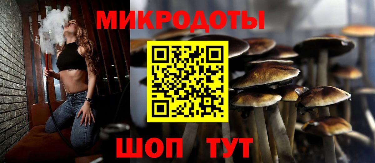 Галлюциногенные грибы Magic Shrooms  Вход с VPN  где можно купить наркотик  Камень-на-Оби  Псилоцибиновые грибы мухоморы 